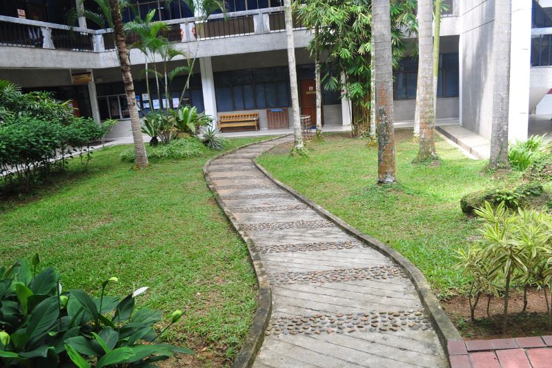 landscaping with walkway
